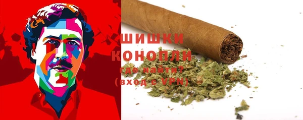 сатива Арсеньев