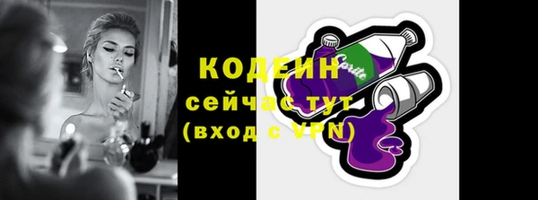 соль ск Инта