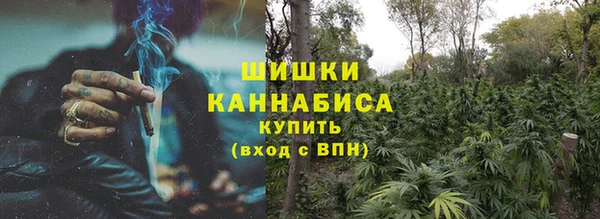 индика Балабаново