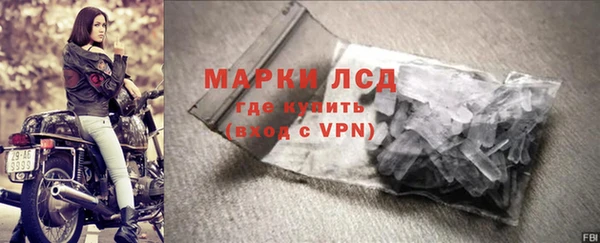 сатива Арсеньев
