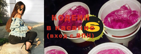 сатива Арсеньев