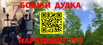 дмт Малгобек