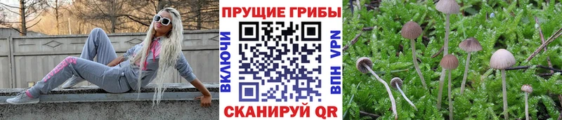 что такое наркотик  Десногорск  Галлюциногенные грибы прущие грибы 